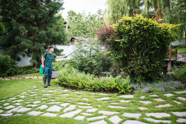 Best Pest Removal Services  in Scottville, MI