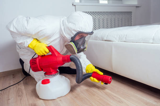 Best Ant Control Services  in Scottville, MI