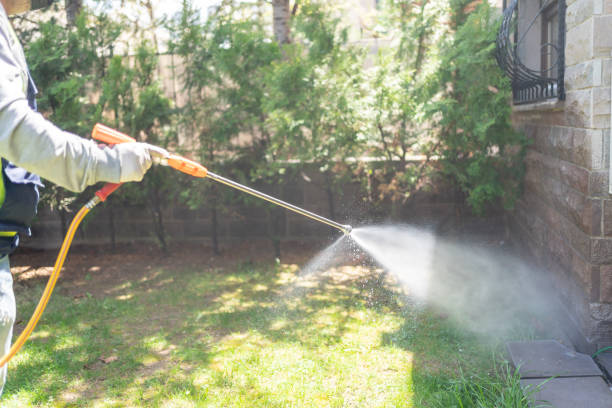 Best Best Pest Control Companies  in Scottville, MI