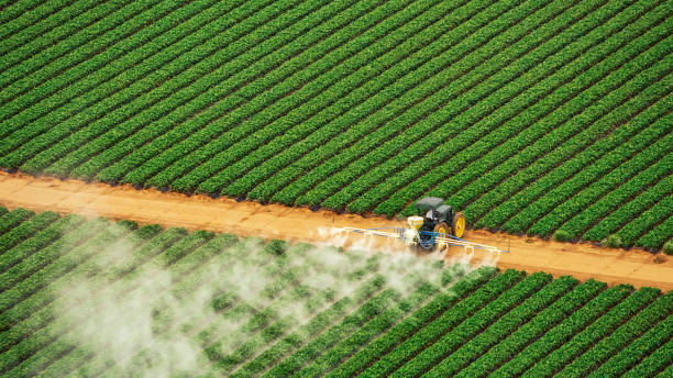 Best Mosquito Control Services  in Scottville, MI