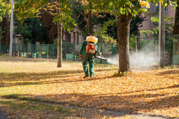 Best Wasp Removal Services  in Scottville, MI