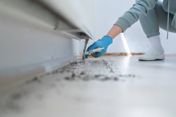Best Local Pest Control Services  in Scottville, MI