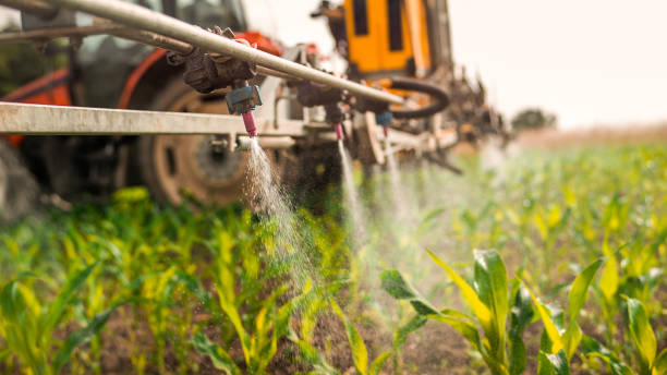 Best Best Pest Control Companies  in Scottville, MI