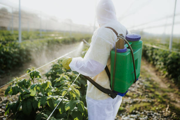 Best Emergency Pest Control  in Scottville, MI
